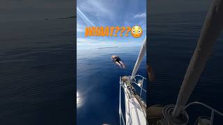 Poros Greece epic jump [upl. by Nolyaj]