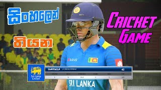 Ashes Cricket  සිංහලෙන් තියන Cricket Game එක [upl. by Lianna521]