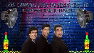 LOS CHUNGUITOS BOTELLA DE JB REMIX DJ DAVID JIMENEZ [upl. by Ettener]