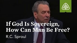 RC Sproul If God Is Sovereign How Can Man Be Free [upl. by Swane]