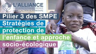 Pilier 3 des SMPE  Stratégies de protection de lenfance et approche socioécologique [upl. by Yesima]