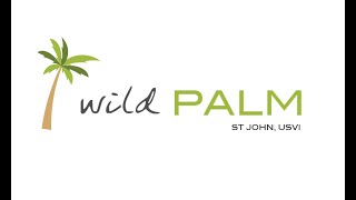 Wild Palm St John Introductory Video [upl. by Ylera]