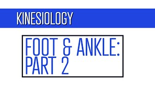 Foot and Ankle Kinesiology for the Student Physical Therapist Assistant Part 2 [upl. by Zitah990]