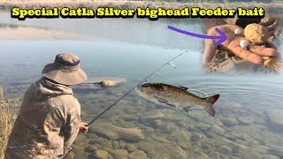 Catla Silver Bighead Fishing 2023  Feeder fishing Techniques  Mangla dam fishing [upl. by Donella]