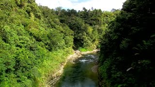 FIJI Water and Conservation International team up to protect Fiji’s rainforest [upl. by Geri]