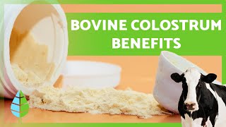 BOVINE COLOSTRUM 🥛🐮 12 Health Benefits You Need to Know [upl. by Aim]