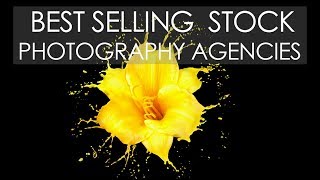 Best SELLING Stock PHOTOGRAPHY Agencies in the last 12 months [upl. by Ellenaej]