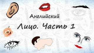 Части лица на английском часть 1 Запоминаем части лица на английском [upl. by Avat]