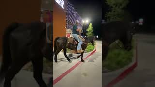 Riding my horse in the drivethru 😂 horses cowboy drivethru horse [upl. by Agni550]