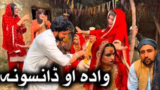 Wada Ao DanSona  Khpala Weena Drama Episode 53 By Charsadda Vines Director SadiqKhan 2024 trendin [upl. by Skiba]