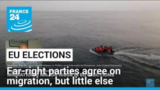 European farright parties agree on stopping migration but little else • FRANCE 24 English [upl. by Aisena]