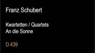 Schubert D439 Quartet An die Sonnewmv [upl. by Cristen]