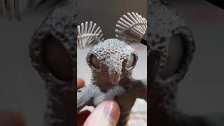 I made Mothman sculpture clay cryptids mothman [upl. by Teddi]