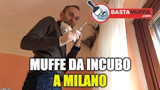 Muffe da Incubo a Milano  Video valutazione con Test della muffa [upl. by Ibmat82]