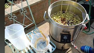 Grainfather G40 brewday 🍺🍺 Part one [upl. by Haet922]