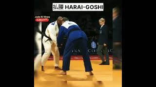 払腰  HaraiGoshi 🔥 ijf subscribe viral ippon judo shorts short shortvideo shortsfeed yt [upl. by Taran]