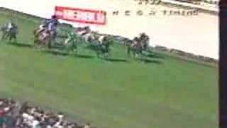 kingston towns hat trick cox plate [upl. by Ytiak]