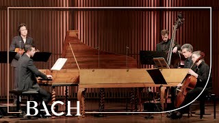 Bach  Concerto for two harpsichords in C major BWV 1061  CortiHenstra  Netherlands Bach Society [upl. by Einahpehs]