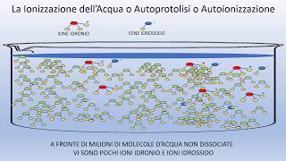 Autoprotolisi o ionizzazione dellacqua [upl. by Nosyaj]