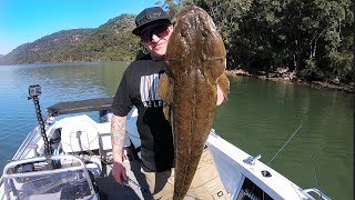 The BIGGEST Flathead I’ve Ever Seen  Crocodile Hunting In The Hawkesbury River  Fishing Australia [upl. by Pentheas]