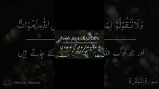 Tilawat quran paak ytshorts viral viralvideo quran quranrecitation [upl. by Atnuhs20]