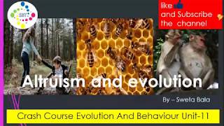 Altruism and evolution  Brain Behaviour And Evolution  Crash Course Evolution And Behaviour U11 [upl. by Yrtneg]