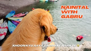 Nainital Trip with GABRU 🐶  Gabru ke naak se khoon kyu nikla 😭 [upl. by Mia]