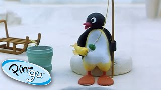 Pingu Catches a Fish Pingu  Official Channel Cartoons For Kids [upl. by Brandise]