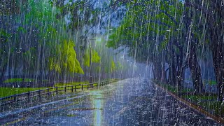 FORTE PLUIE la Nuit pour Bien Dormir et Réduire linsomnie  Bruit de la Pluie dans un Parc Calme [upl. by Doralia]