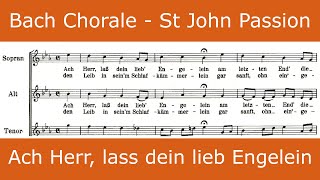 Bach  St John Passion  Ach Herr lass dein lieb Engelein chorale [upl. by Hoisch]