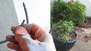 Drip Irrigation Fix Made Easy [upl. by Eivi]