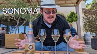 Wine Tasting In Sonoma Ca Three Different Wineries [upl. by Tavy]