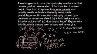 How to determine if a disease is X or Y chromosome linked [upl. by Eki120]