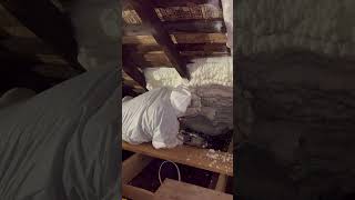 Spray foam insulation expanding satisfactorily [upl. by Sheepshanks]