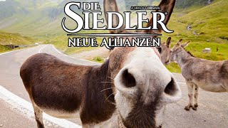 0021 Die Siedler Neue Allianzen 👨‍🌾Eselskarren 👨‍🌾 Lets Play [upl. by Carper]