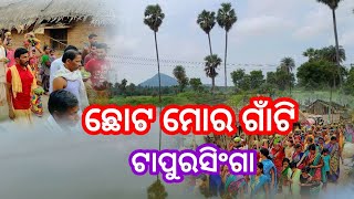 ଛୋଟ ମୋର ଗାଁଟି। Chhota Mora Gaan Ti l Tapurasinga l Liricist Sachidananda Rautray shortsvideoreels [upl. by Eoz]