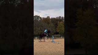 Prince owner8 horse ottb thoroughbred exracehorse jumping [upl. by Kauffmann385]