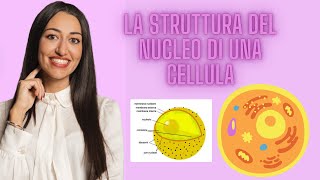 LA STRUTTURA DEL NUCLEO  CELLULA EUCARIOTE [upl. by Viva]