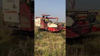 New Loval track harvester rg102 evo farming harvester track paddy shorts [upl. by Geneva]