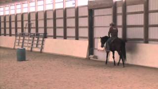 Training an Off the Track Thoroughbred Part 7  Advantage Horsemanship TV [upl. by Celesta]