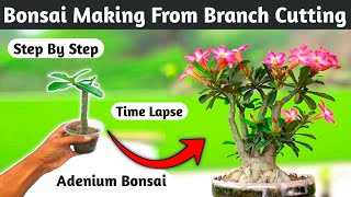 Adenium Bonsai Making From Branch Cutting [upl. by Oster103]