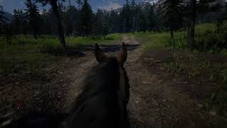 Lush Trail Ride ASMR [upl. by Aerdnek347]