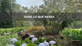 Sude lo que desea [upl. by Reese]