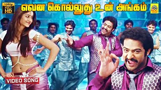 Evana Kolludhu Un Angam Tamil Dubbed Video Song  Jr NTR  Ileana  Mani Sharma  Full HD [upl. by Wearing234]