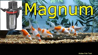 Marineland canister filter magnum polishing Amazing clear water [upl. by Valorie]