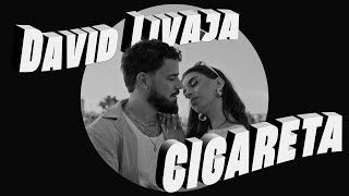 DAVID LIVAJA  CIGARETA OFFICIAL VIDEO [upl. by Hsaka691]