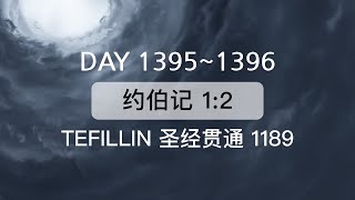 Tefillin Day 13951396 约伯记 12 宣布圣经 50次 [upl. by Haskins]