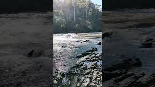 Warrandyte State Park  VIC Australia park lake river camping hike asmr relax outback [upl. by Gillie]