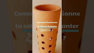 Comment fonctionne le composteur à planter Ceercle  ♻️ [upl. by Kuth703]