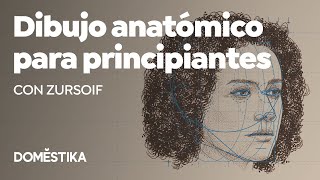 Dibujo anatómico para principiantes – Curso online de Zursoif [upl. by Nolek]